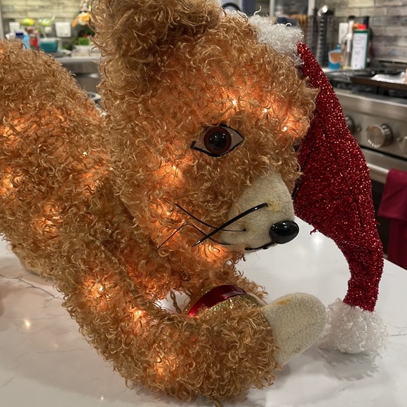 Indoor/Outdoor Christmas 🎄 Kitty Decor with Lights - Picture 14 of 16